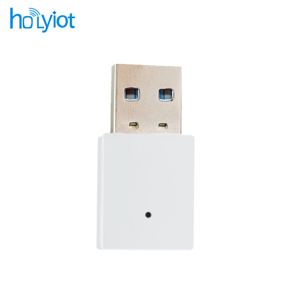 Holyiot 17120 USBm