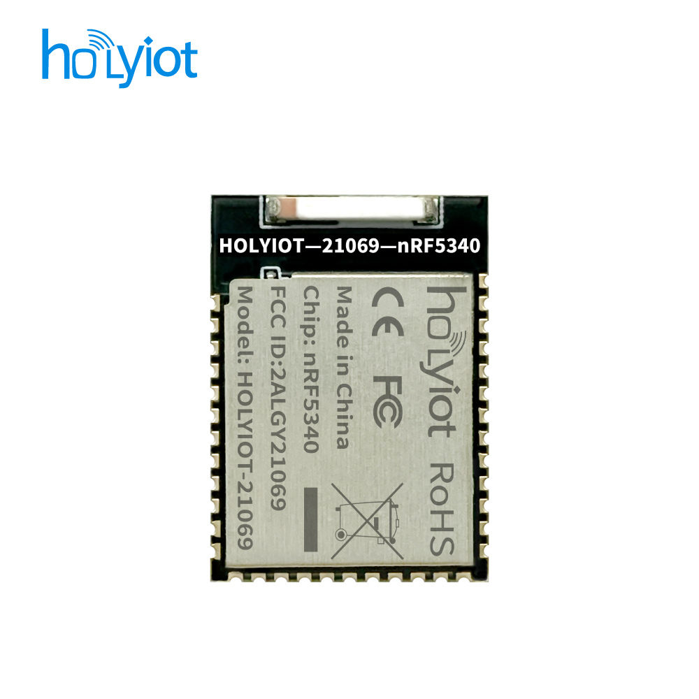 Holyiot-21069-nRF5340ģK