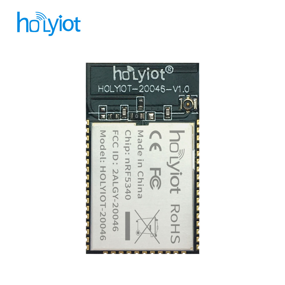 Holyiot-20046-nRF5340ģK