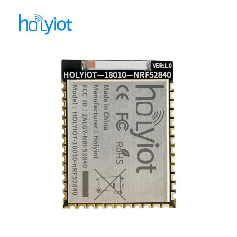 Holyiot-18010-nRF52840ģK