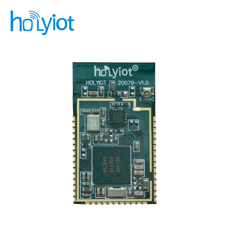 Holyiot-20079-nRF52840̖ŴģK