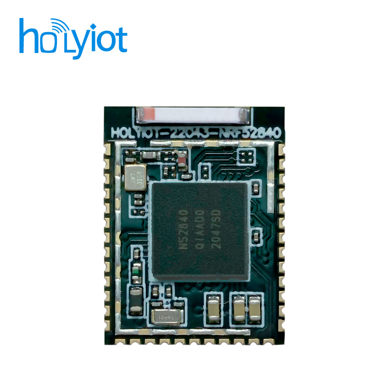 Holyiot-22043-nRF52840ģK
