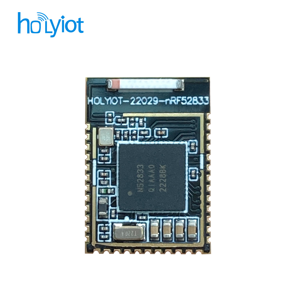 Holyiot-22029-nRF52833ģK