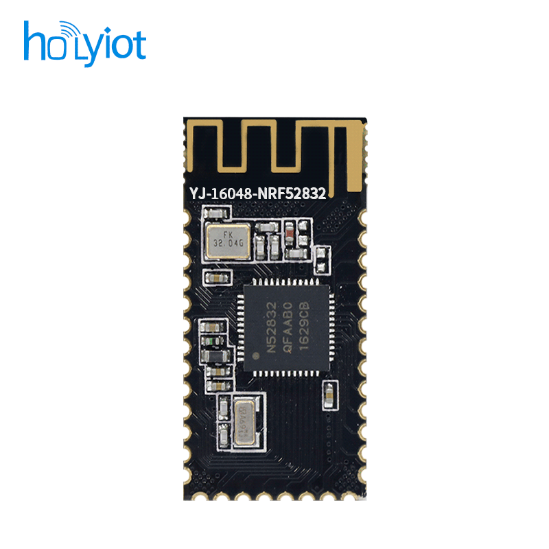 Holyiot-16048-nRF52832ģK