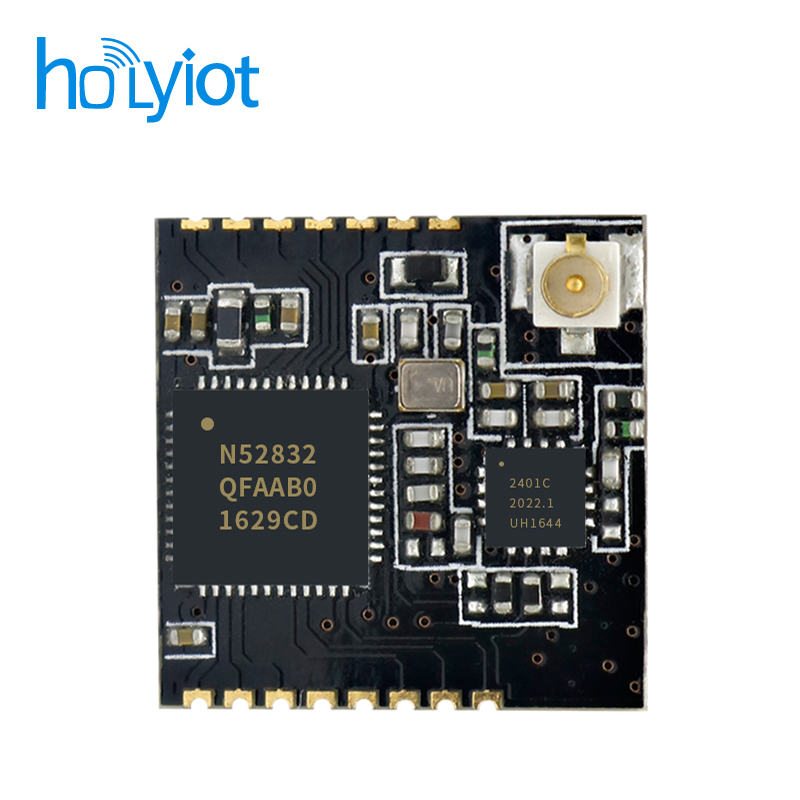 Holyiot-17024-nRF52832̖(ho)ŴģK