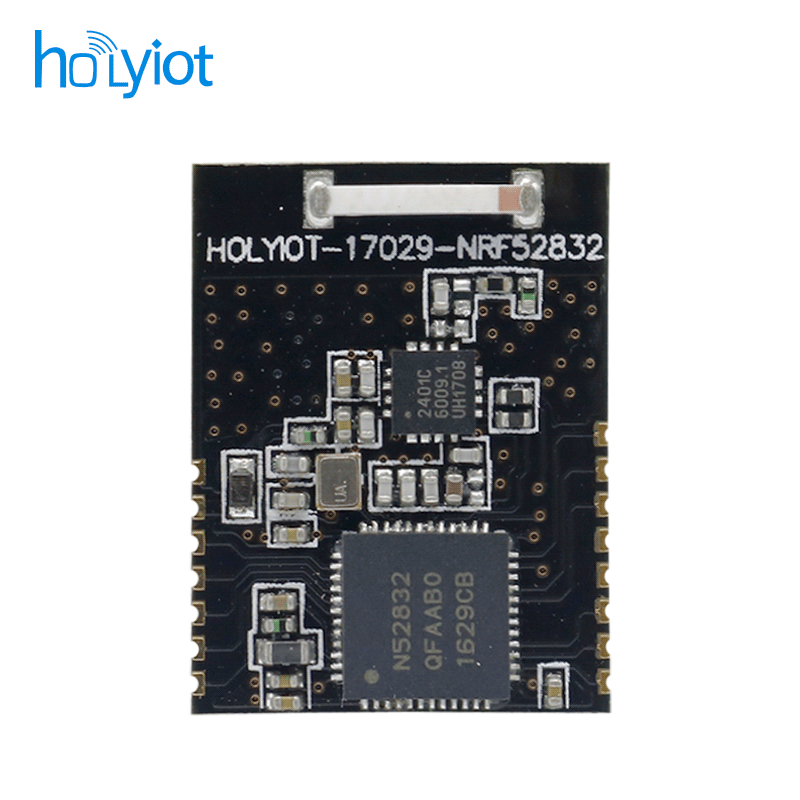 Holyiot-17029-nRF52832̖(ho)ŴģK