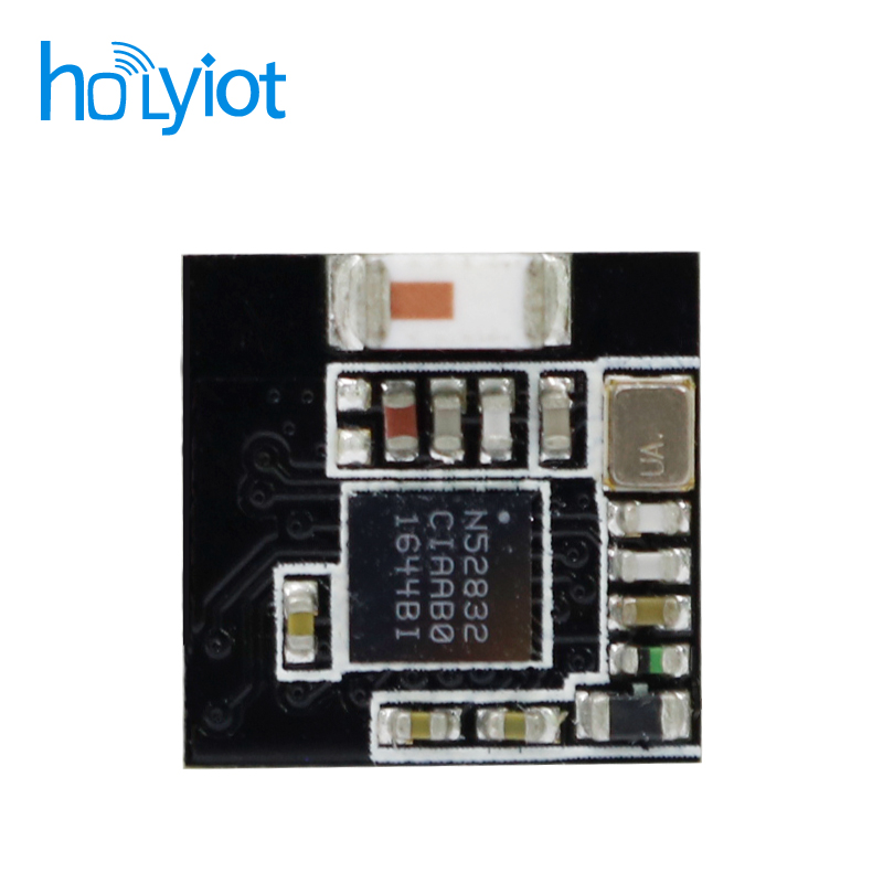 Holyiot-17095-nRF52832ģK