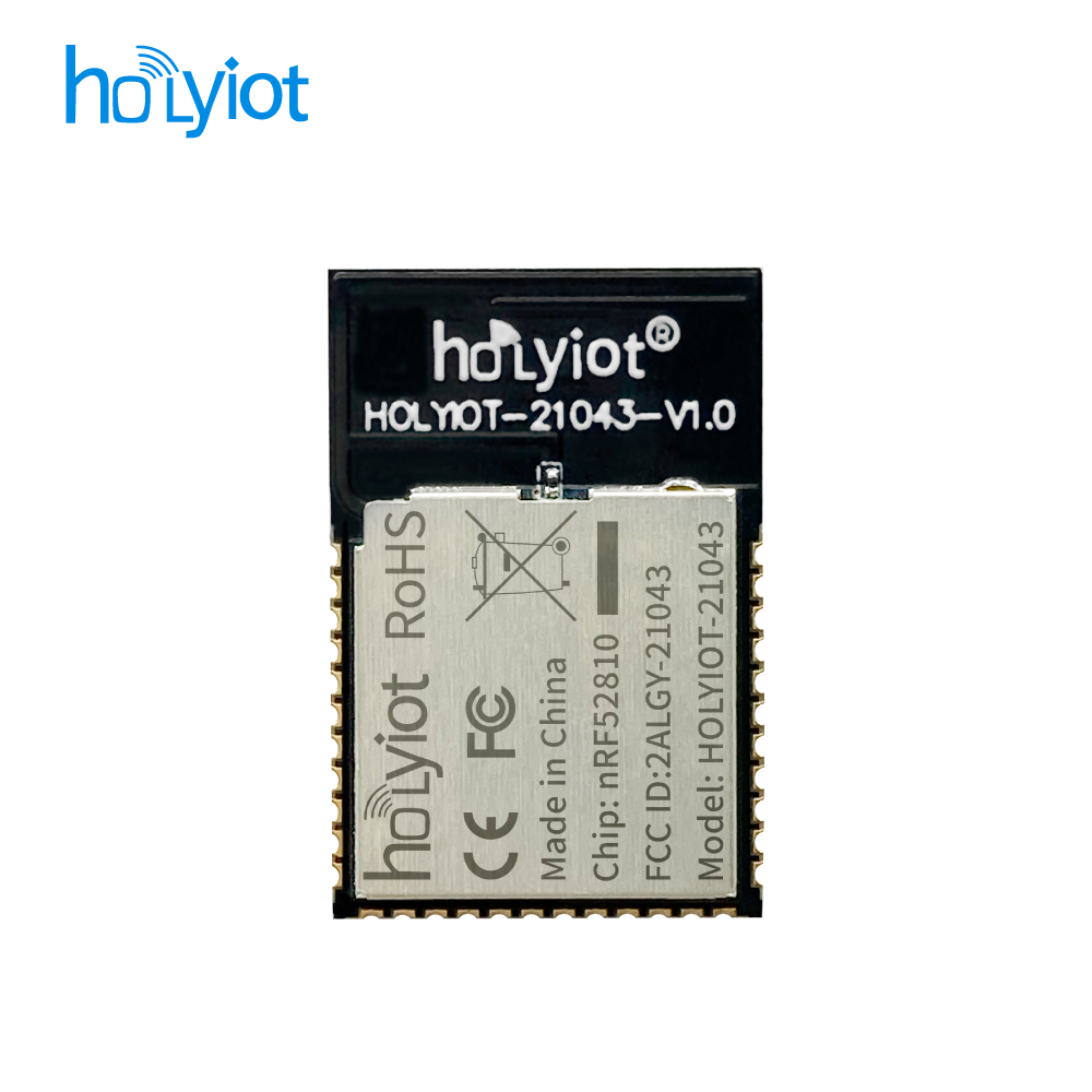 Holyiot-21043-nRF52810ģK