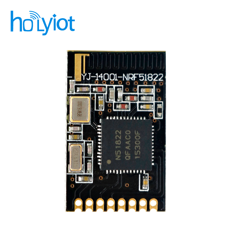 Holyiot-14001-nRF51822ģK