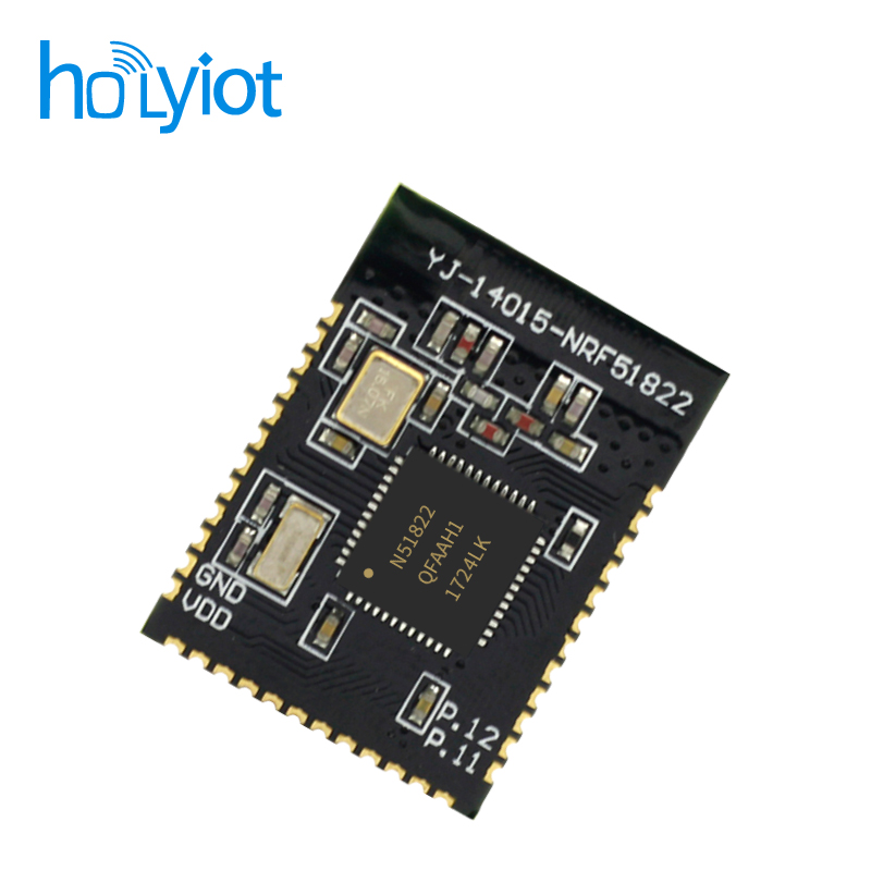 Holyiot-14015-nRF51822ģK