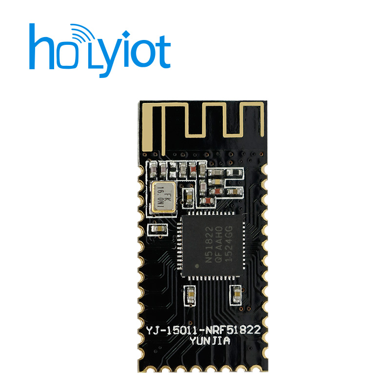 Holyiot-15011-nRF51822ģK
