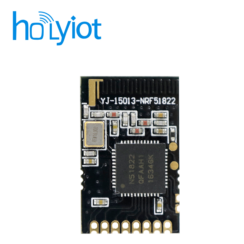 Holyiot-15013-nRF51822ģK