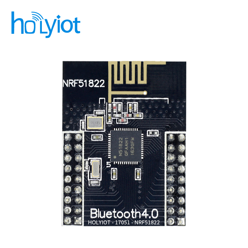 Holyiot-17051-nRF51822ģK