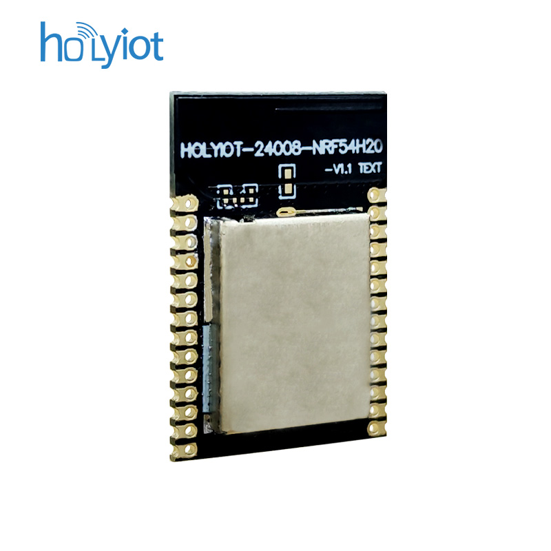 Holyiot-24008-nRF54H20ģK